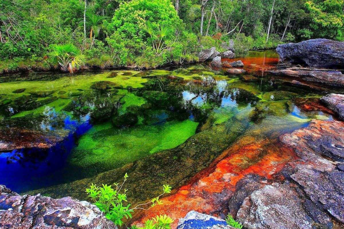 cano cristales