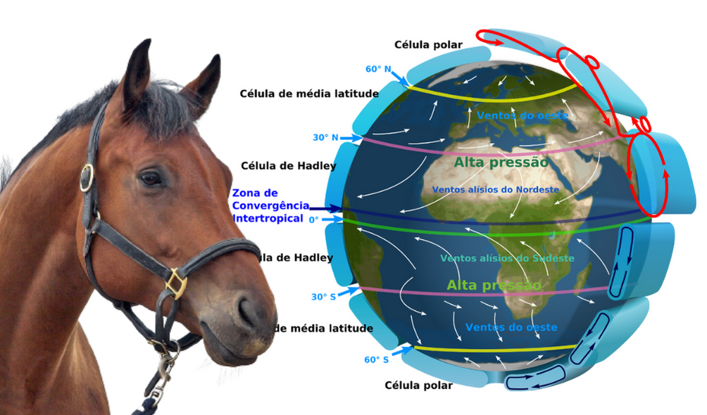 Planeta Animal - Cavalos 